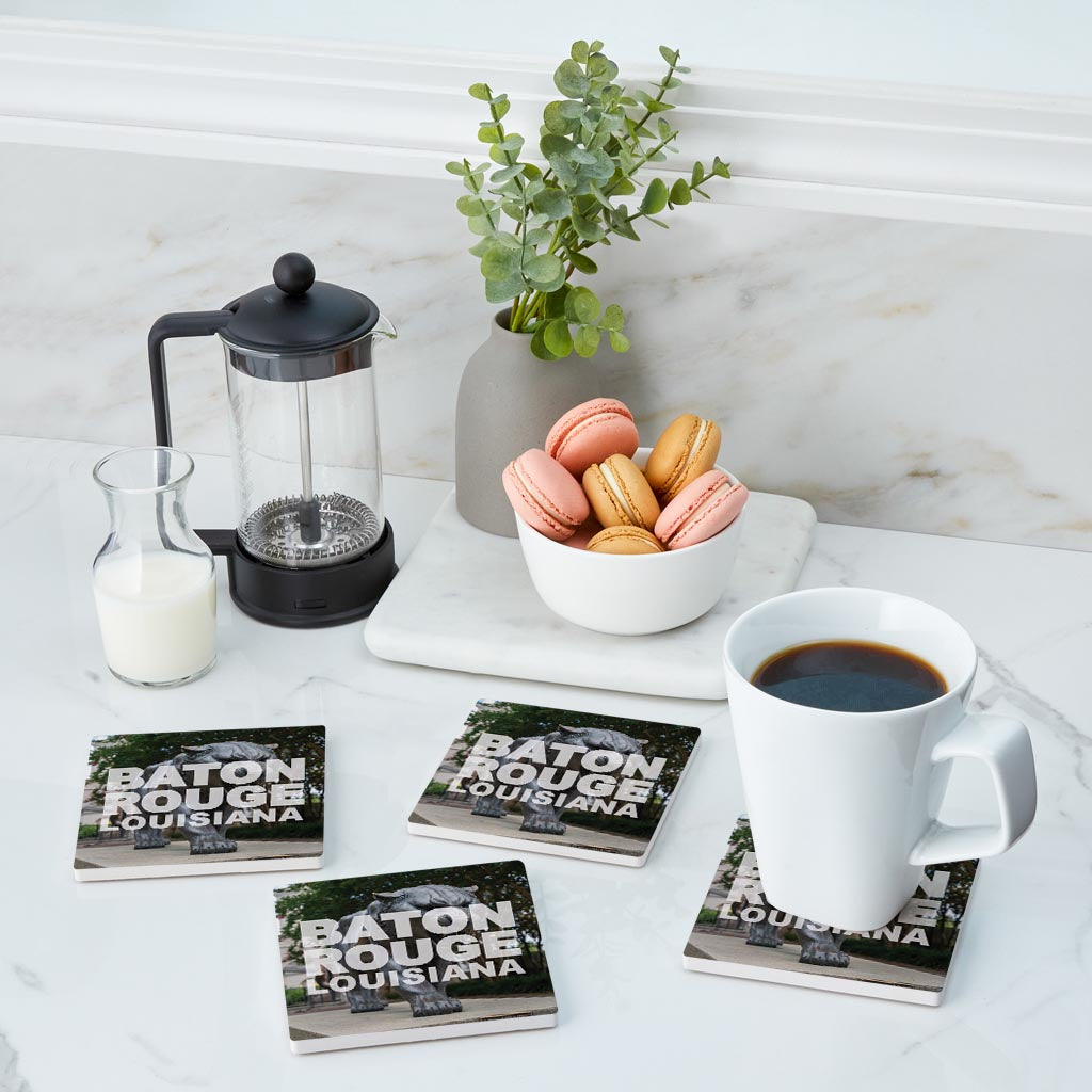 Baton Rouge Louisiana Photo | Absorbent Coasters | Set of 4 | Min 2