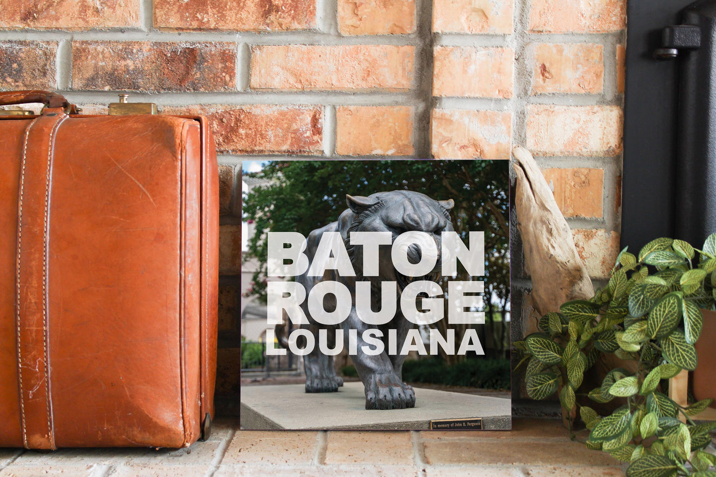 Baton Rouge Louisiana Photo | Wood Sign | Eaches | Min 2