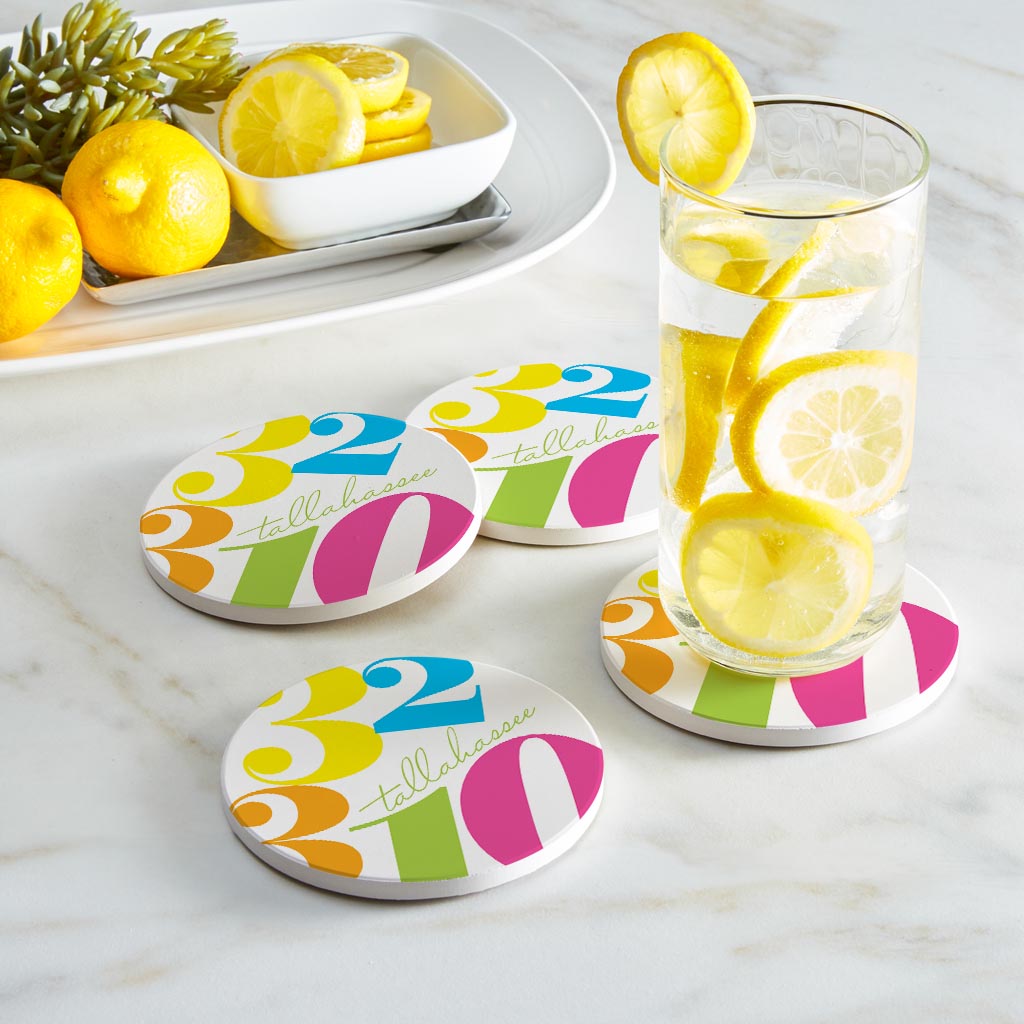 Bright Modern Color Block City Zip Florida Tallahassee | Absorbent Coasters | Set of 4 | Min 2