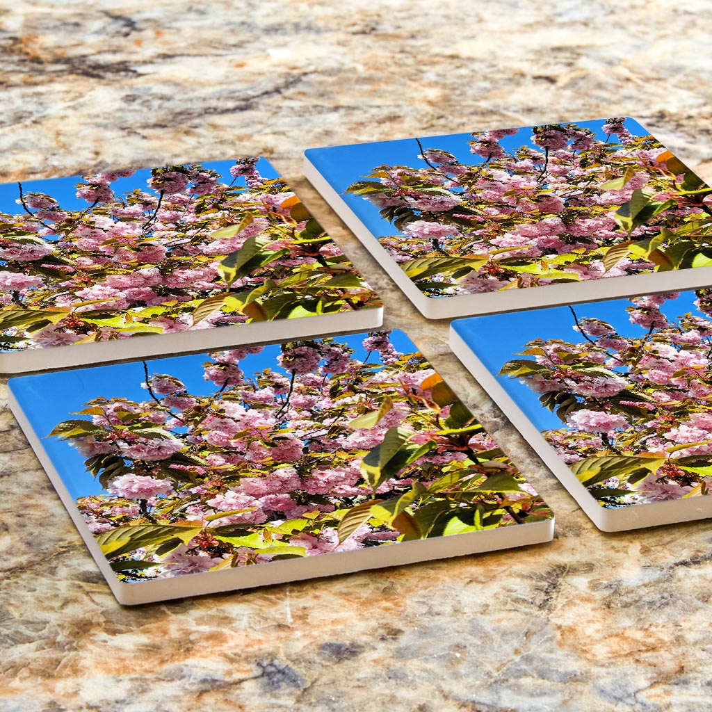 Monokian Cherry Blossoms | Absorbent Coasters | Set of 4 | Min 2