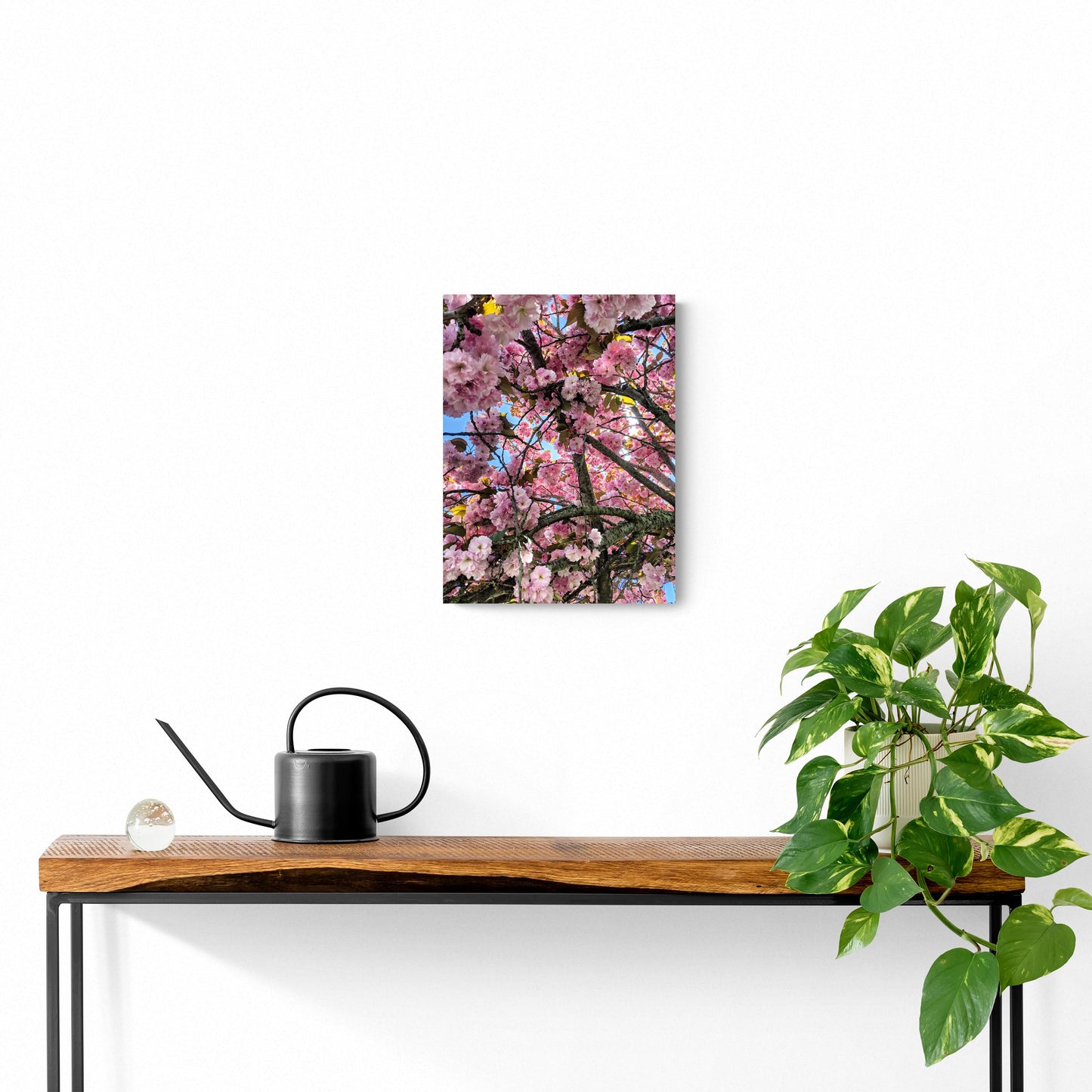 Monokian Cherry Blossoms | Wood Sign | Eaches | Min 2