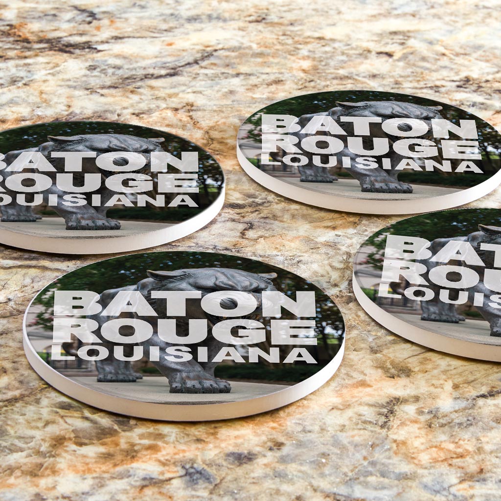 Baton Rouge Louisiana Photo | Absorbent Coasters | Set of 4 | Min 2