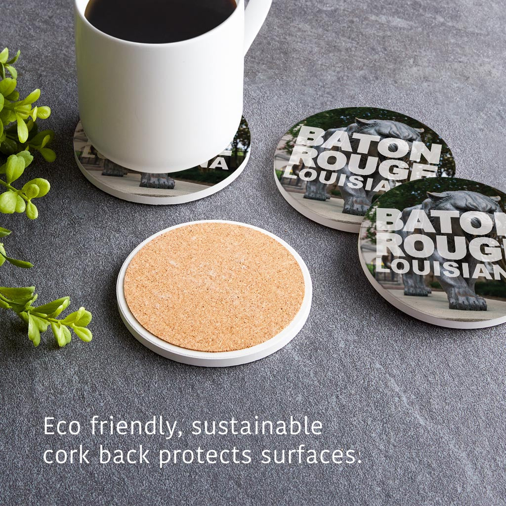 Baton Rouge Louisiana Photo | Absorbent Coasters | Set of 4 | Min 2