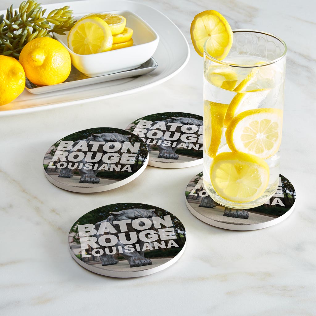 Baton Rouge Louisiana Photo | Absorbent Coasters | Set of 4 | Min 2