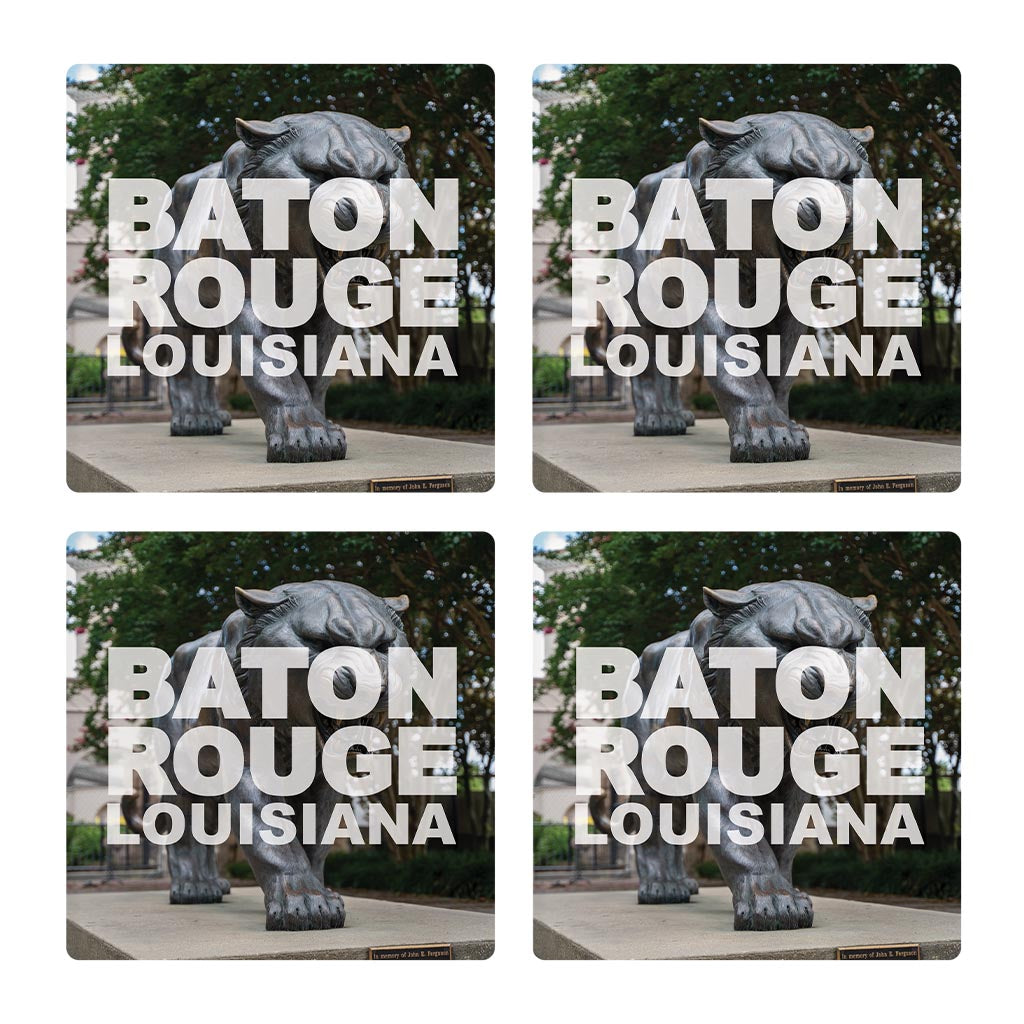 Baton Rouge Louisiana Photo | Absorbent Coasters | Set of 4 | Min 2