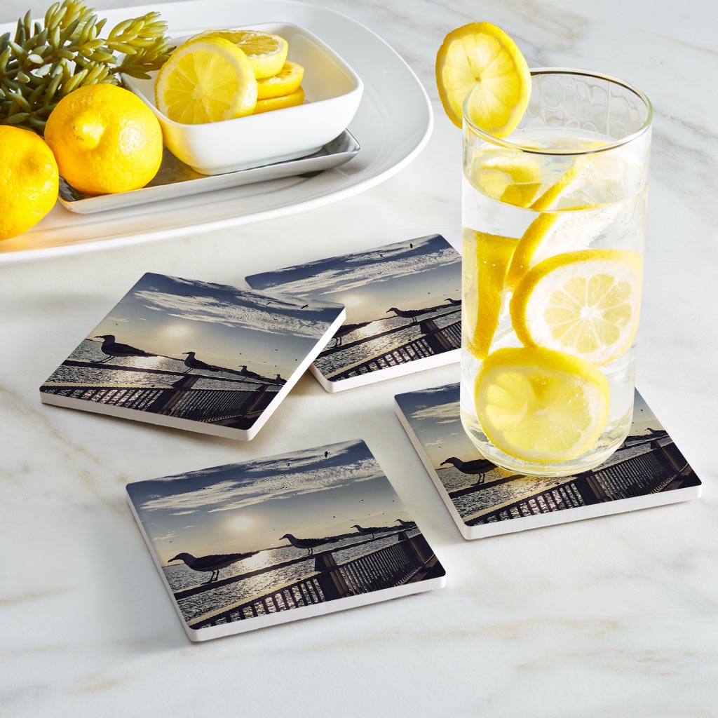 OCNJ Photo Seagulls| Absorbent Coasters | Set of 4 | Min 2