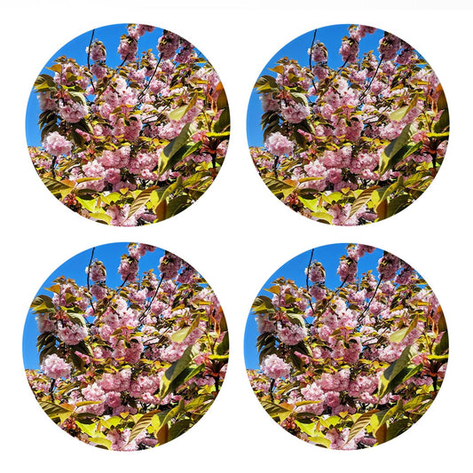 Monokian Cherry Blossoms | Absorbent Coasters | Set of 4 | Min 2