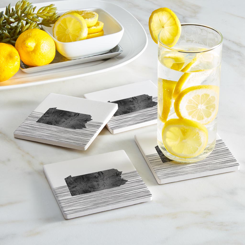 Minimalistic B&W Pennsylvania Shape Straight Lines | Absorbent Coasters | Set of 4 | Min 2