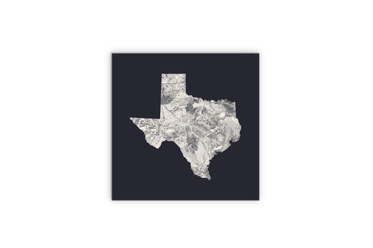 Modern Minimalist Texas Metal State Shape | Wood Sign | Eaches | Min 2