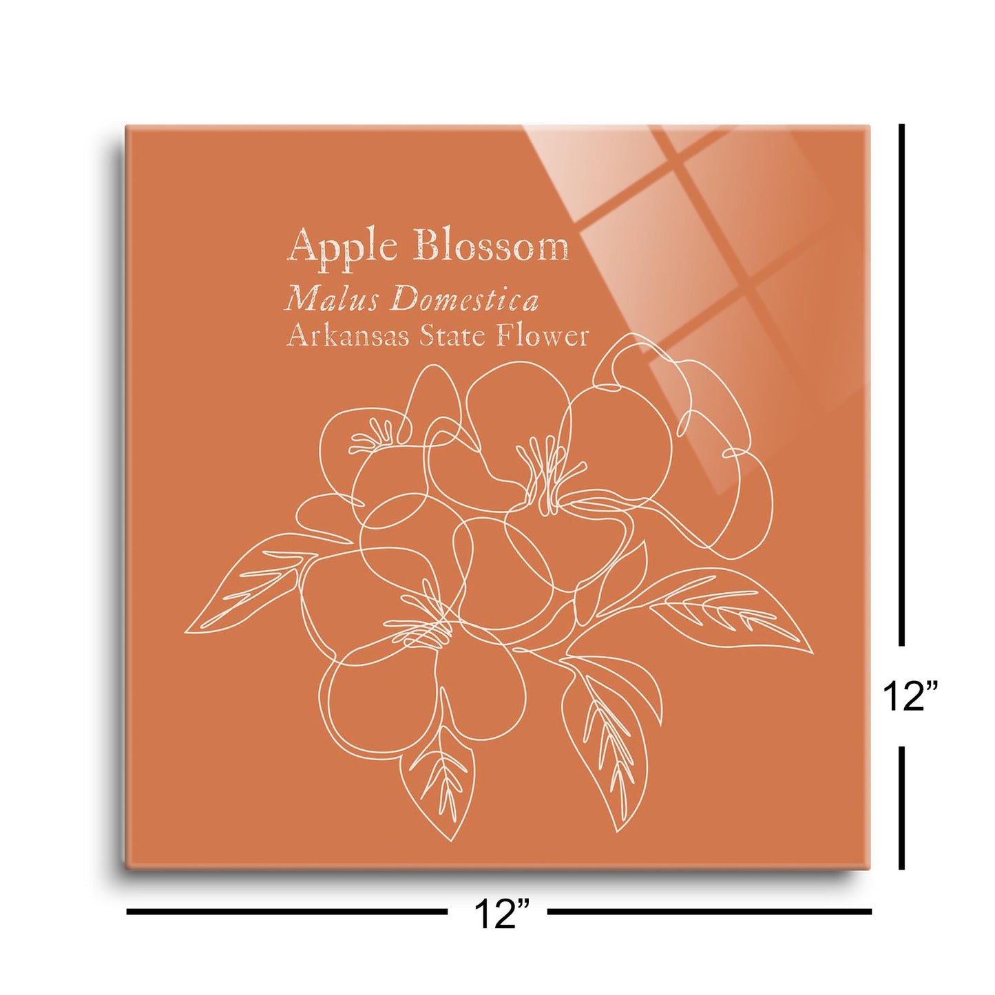 Modern Minimalist Arkansas Single Line Apple Blossoms | Hi-Def Glass Art | Eaches | Min 1