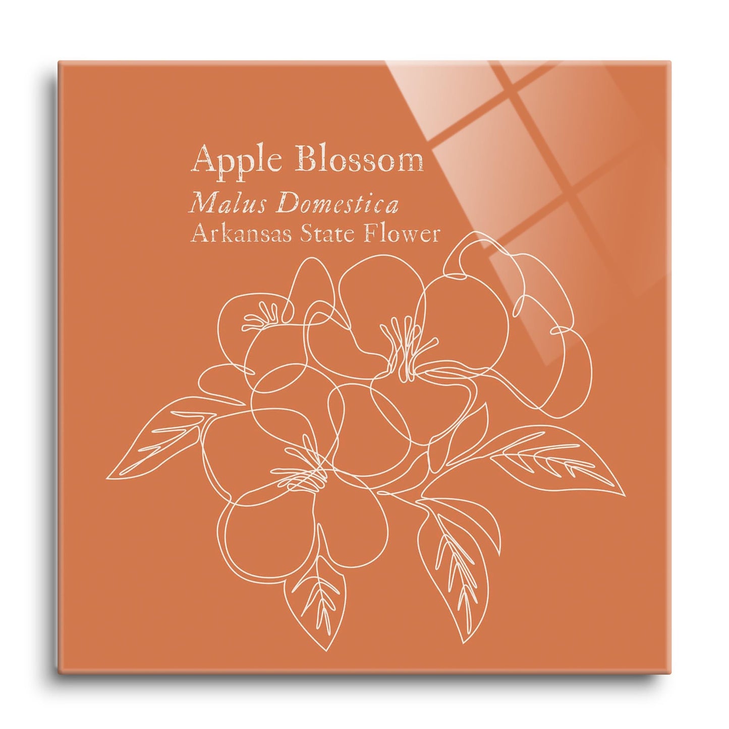 Modern Minimalist Arkansas Single Line Apple Blossoms | Hi-Def Glass Art | Eaches | Min 1