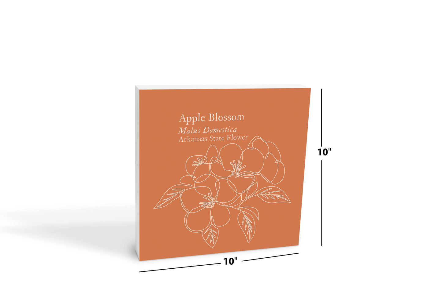 Modern Minimalist Arkansas Single Line Apple Blossoms | Wood Block | Eaches | Min 2